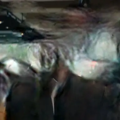 Profile image of 딱지남