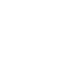 범규