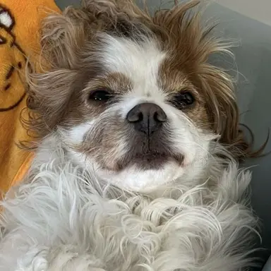 Profile image of Berry