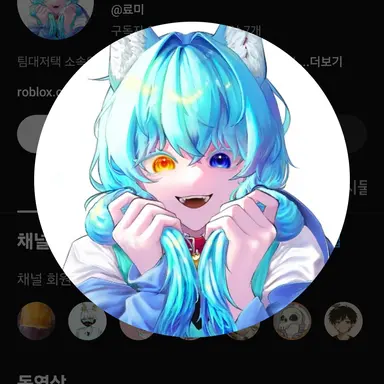 Profile image of 료미