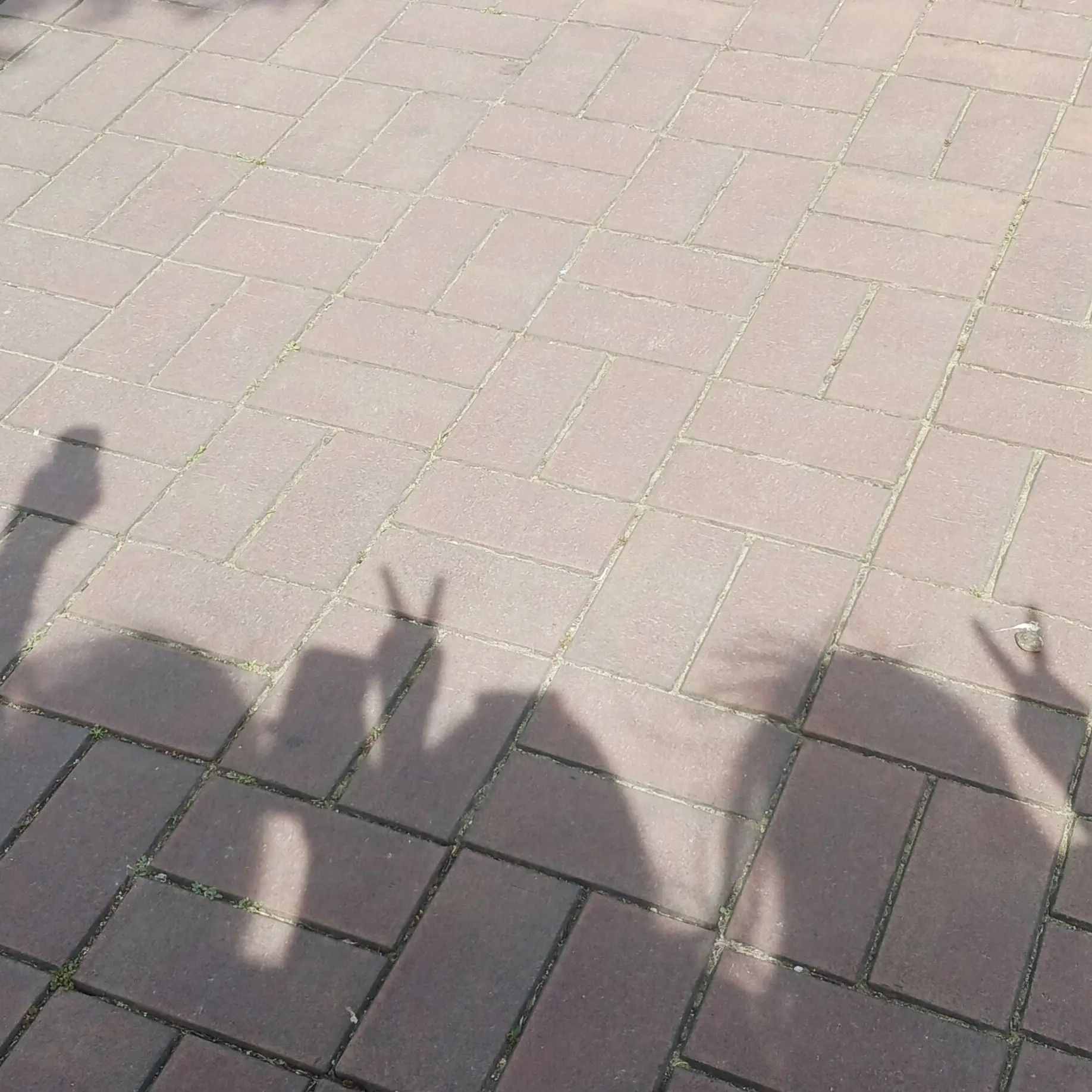 BumpyBolt2108의 유한지