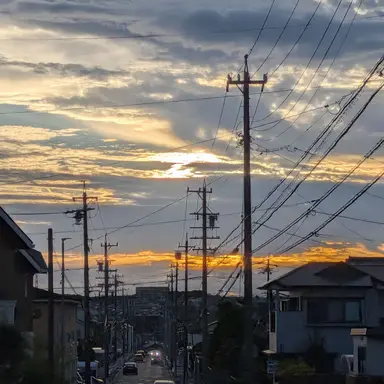 Profile image of 紫ペア