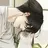강시우