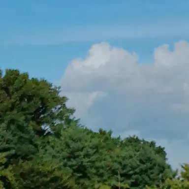 Profile image of 박원빈