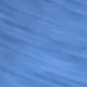 윤쫑