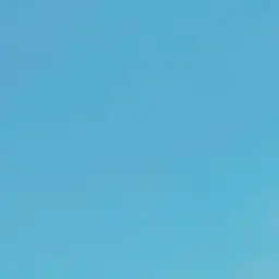 Profile image of 잠뜰