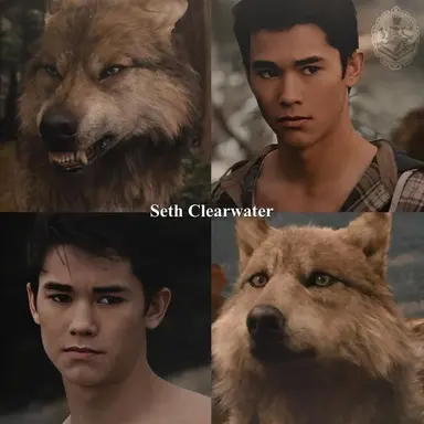 Profile image of Seth Clearwater
