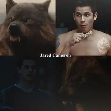 Profile image of Jared Cameron