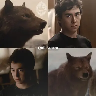 Profile image of Quil Ateara V