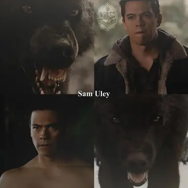Profile image of Sam Uley
