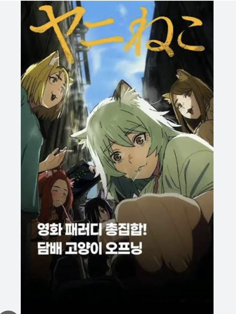 담배고양이 대표 이미지