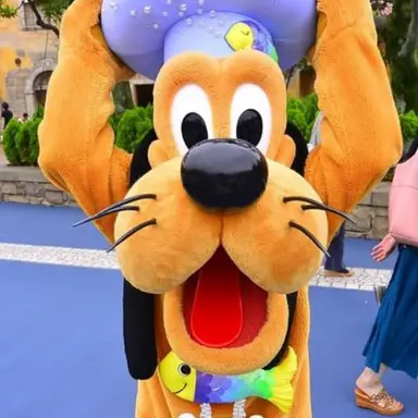 Profile image of プルート