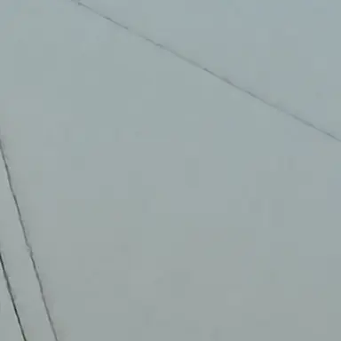 Profile image of 임주경