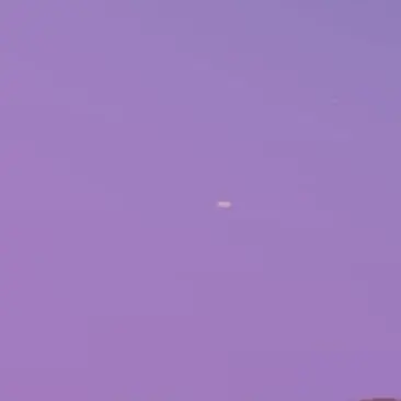 Profile image of 평학