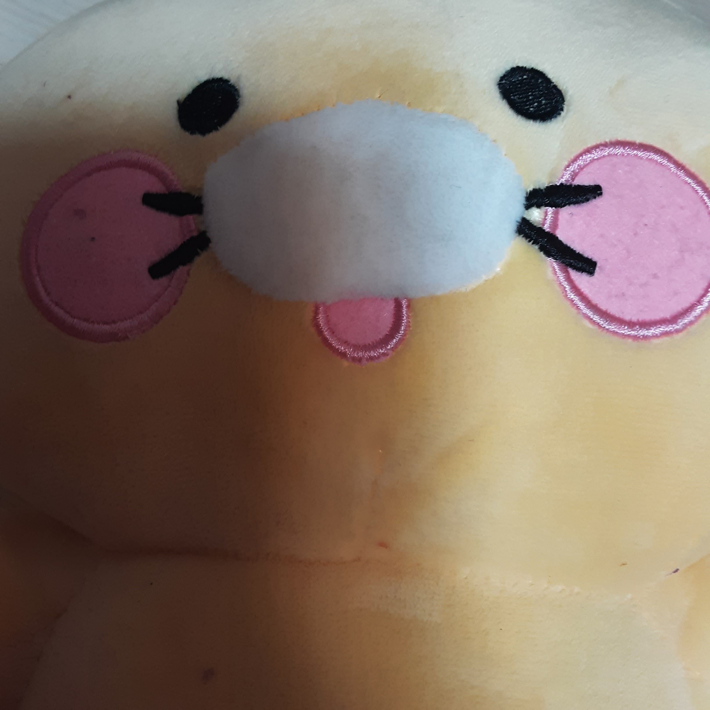 대저택공겜하는데 여우가 온다?! 대표 이미지