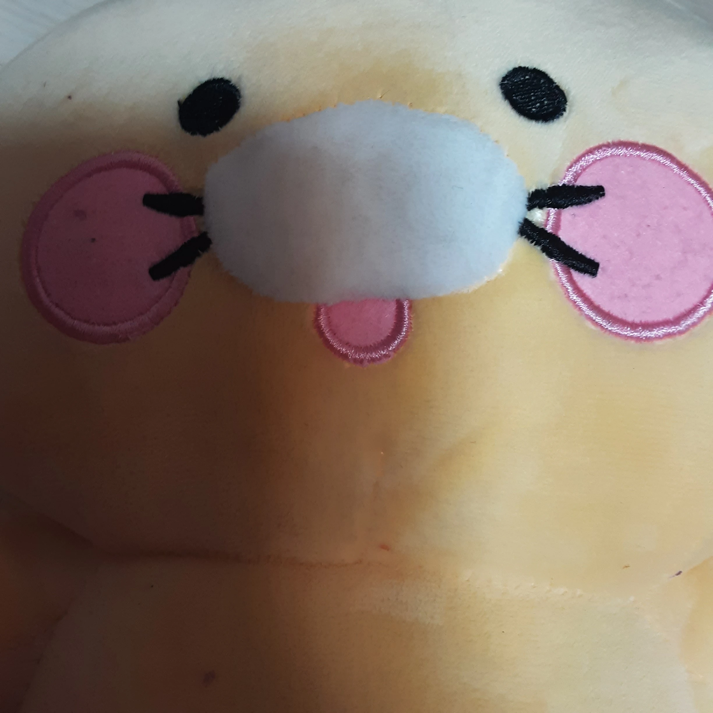 집사