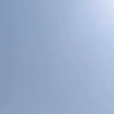 Profile image of koji