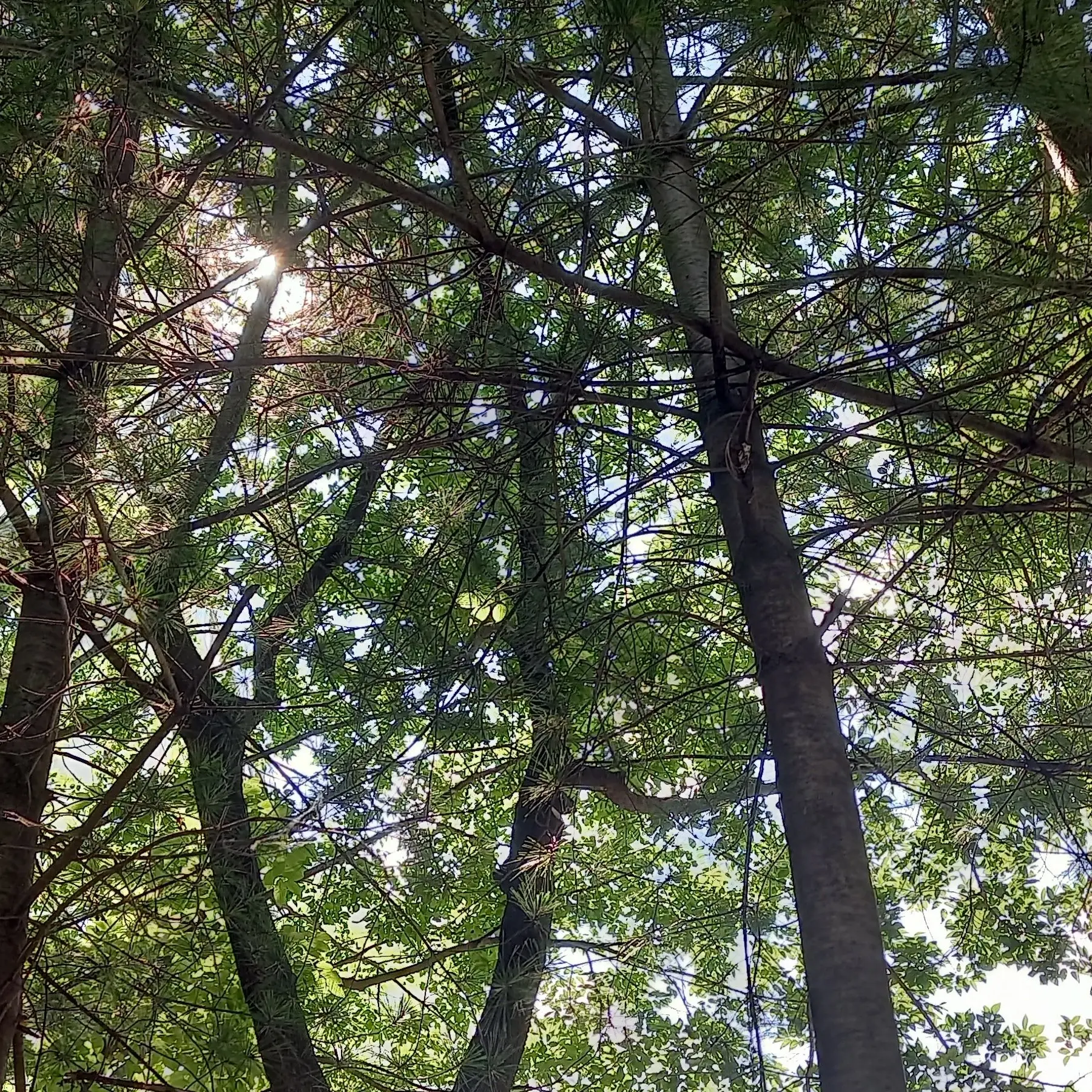 ehxhflpm6의 히빌물 au