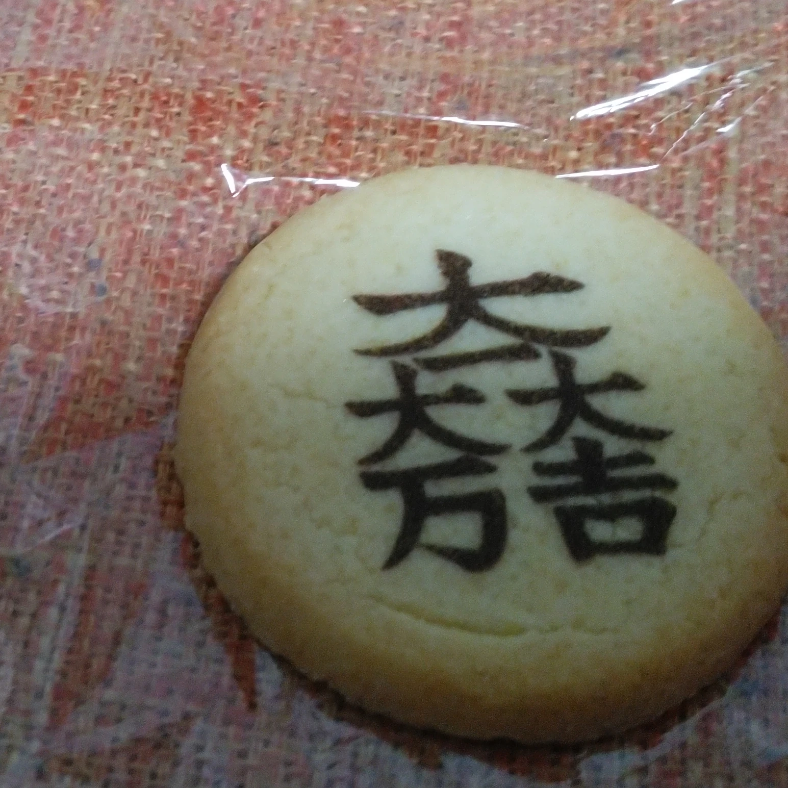 枢軸と連合