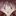 아스카
