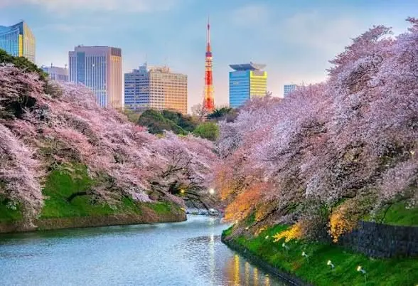 Profile image of 日本生活RP
