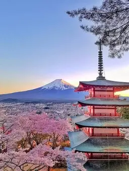 Profile image of 日本生活RP