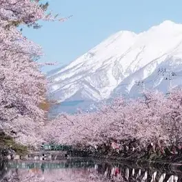 Profile image of Japanese Life RP