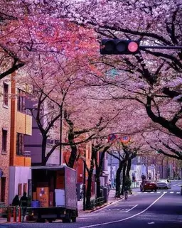 Profile image of 日本生活RP