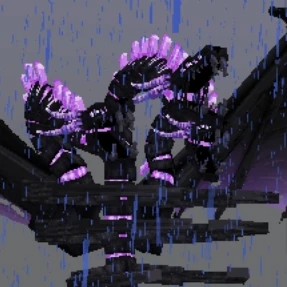 위더 기도라
