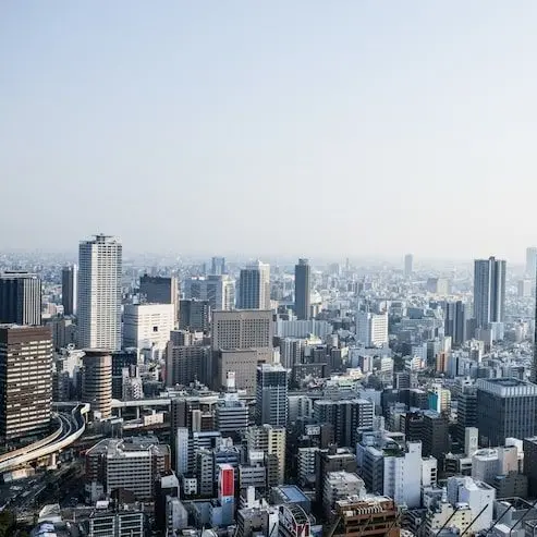 KindHand5939의 키보 토스에 전학 온 학생