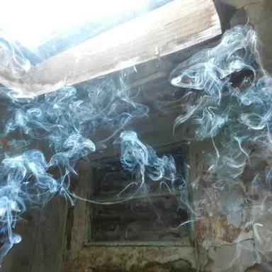 Profile image of 석태