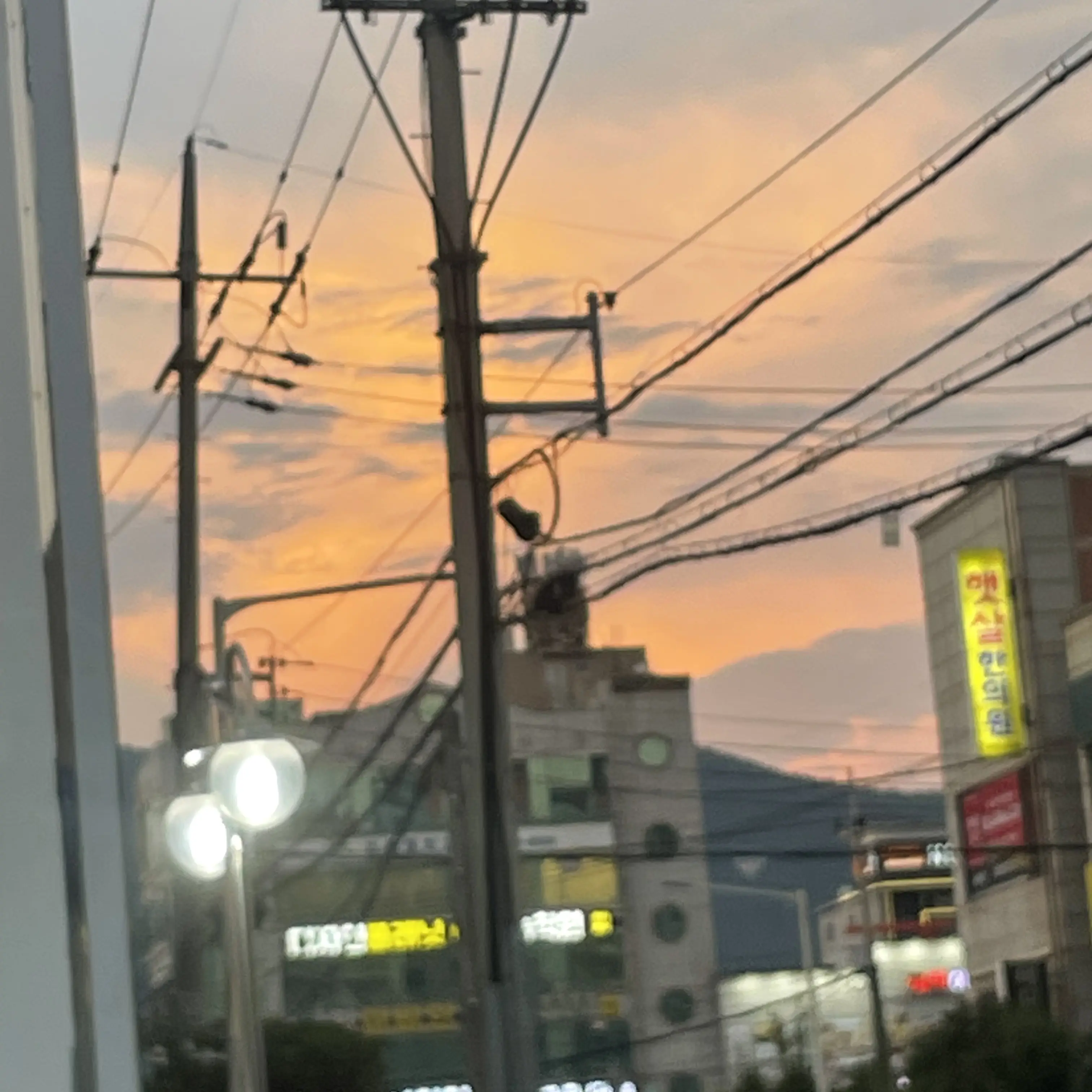 LooseStorm2343의 제로베이스원 막내