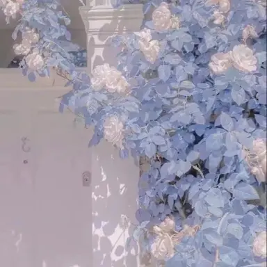 Profile image of 김건우