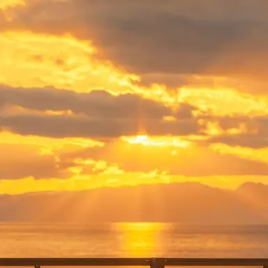 Profile image of 정상현