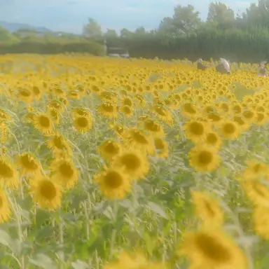 Profile image of じんと