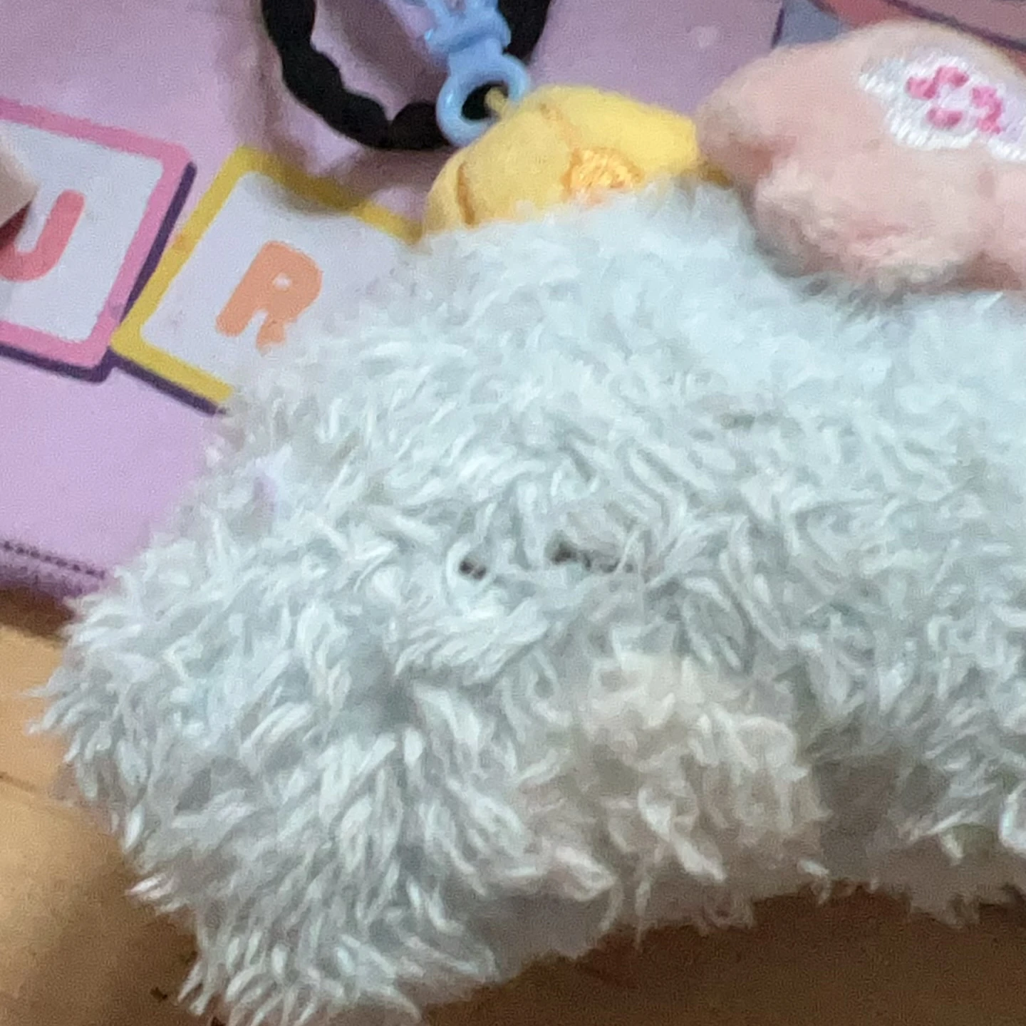 얘들