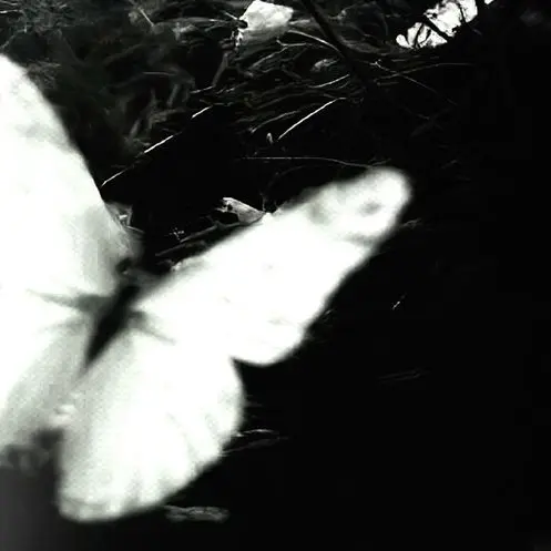 c.h_S2의 [ FALSITY... ]