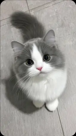 Profile image of チン_ソヨン
