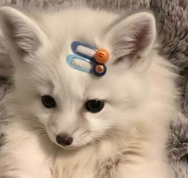 Profile image of ヤン・ジヒョン