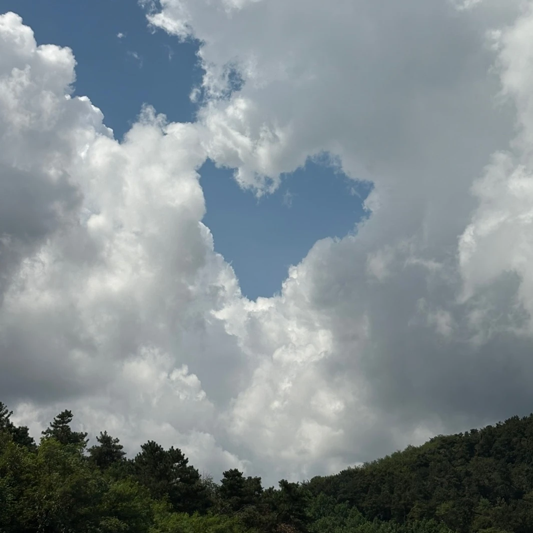 소라