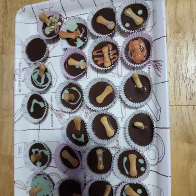 Profile image of 여우