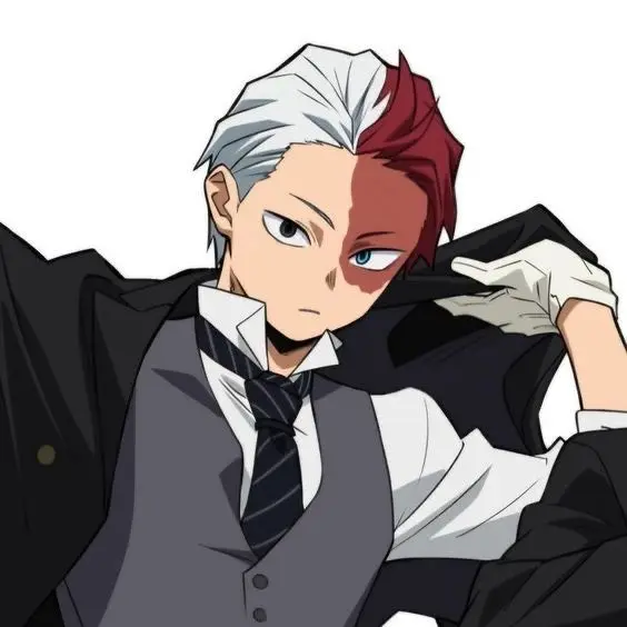 shotooo의 轟焦凍