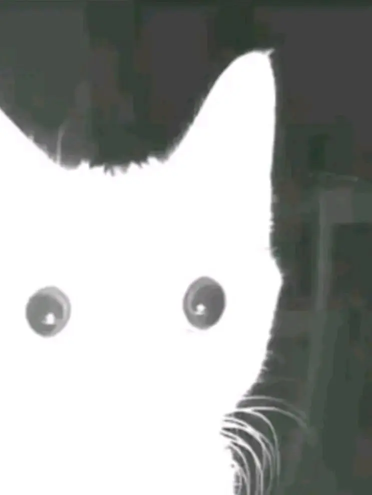 ThinChalk4604의 시집