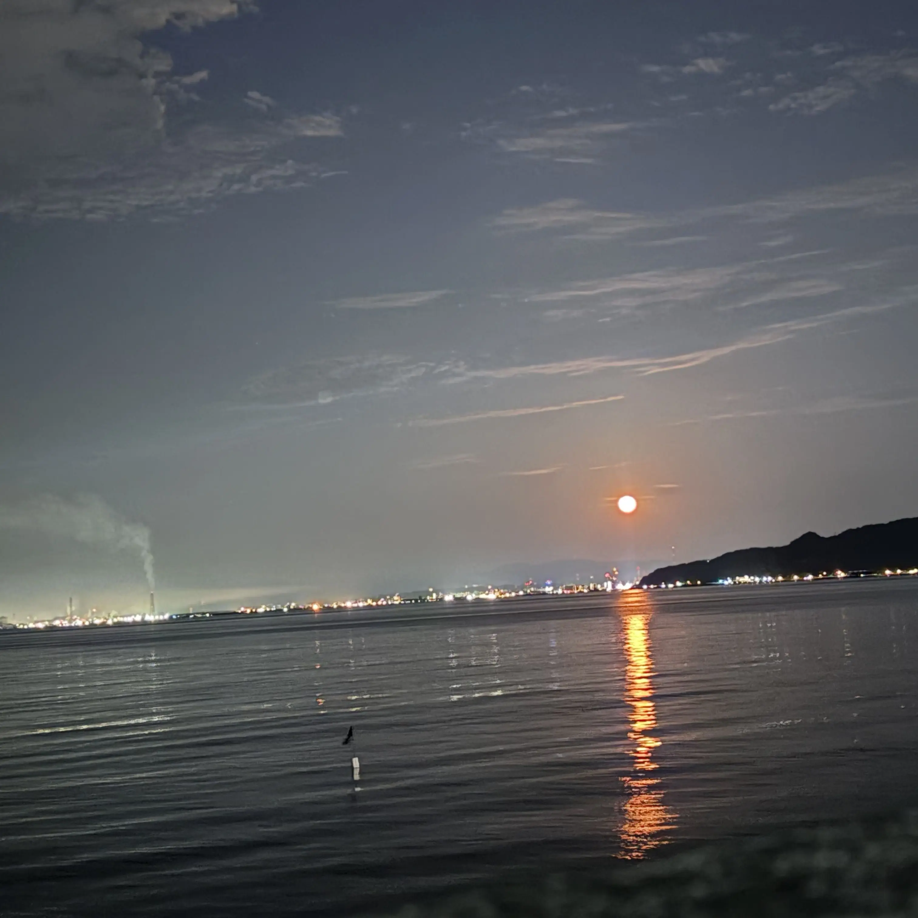 LinearDay6733의 ちびっこ拾ったら魔王だった