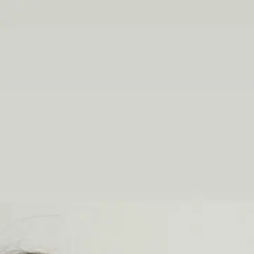 Profile image of 허인서