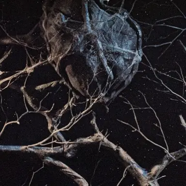 Profile image of 괴물