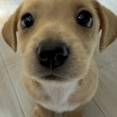 Profile image of 명명