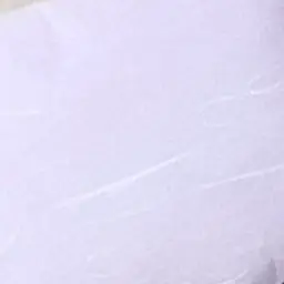 Profile image of 蜂須賀虎徹