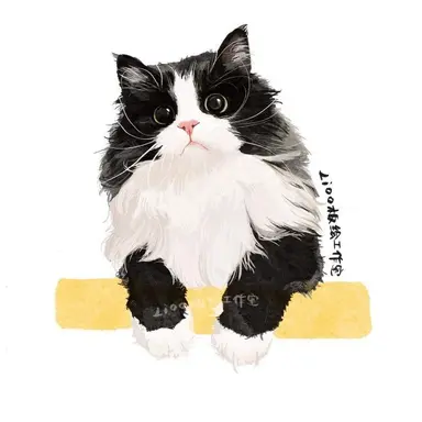 Profile image of ルカ