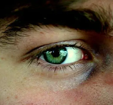 Profile image of Dean
